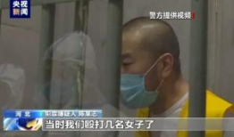 啪啪视频无遮挡,真实性与伦理争议并存